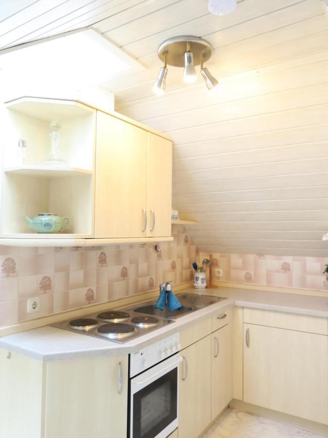 Schoene Dachgeschosswohnung In Villa Mit Zentrumsnaher Lage Schleiz Exterior foto